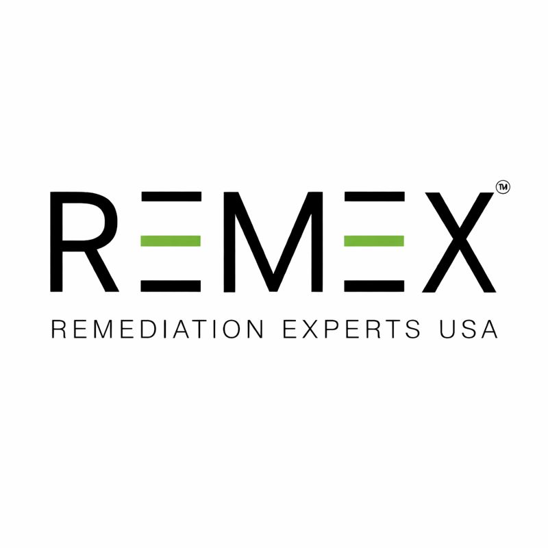 Remex USA